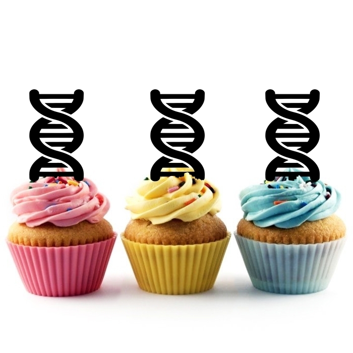 Dna Double Helix