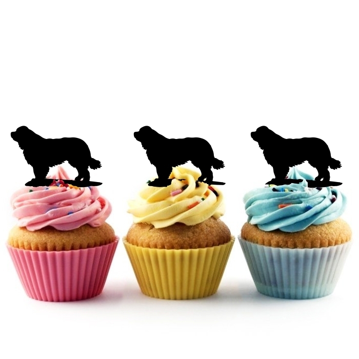 Newfoundland Dog